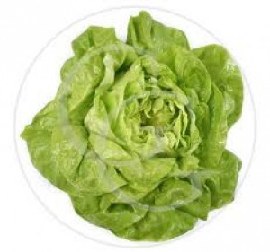 salat.jpg